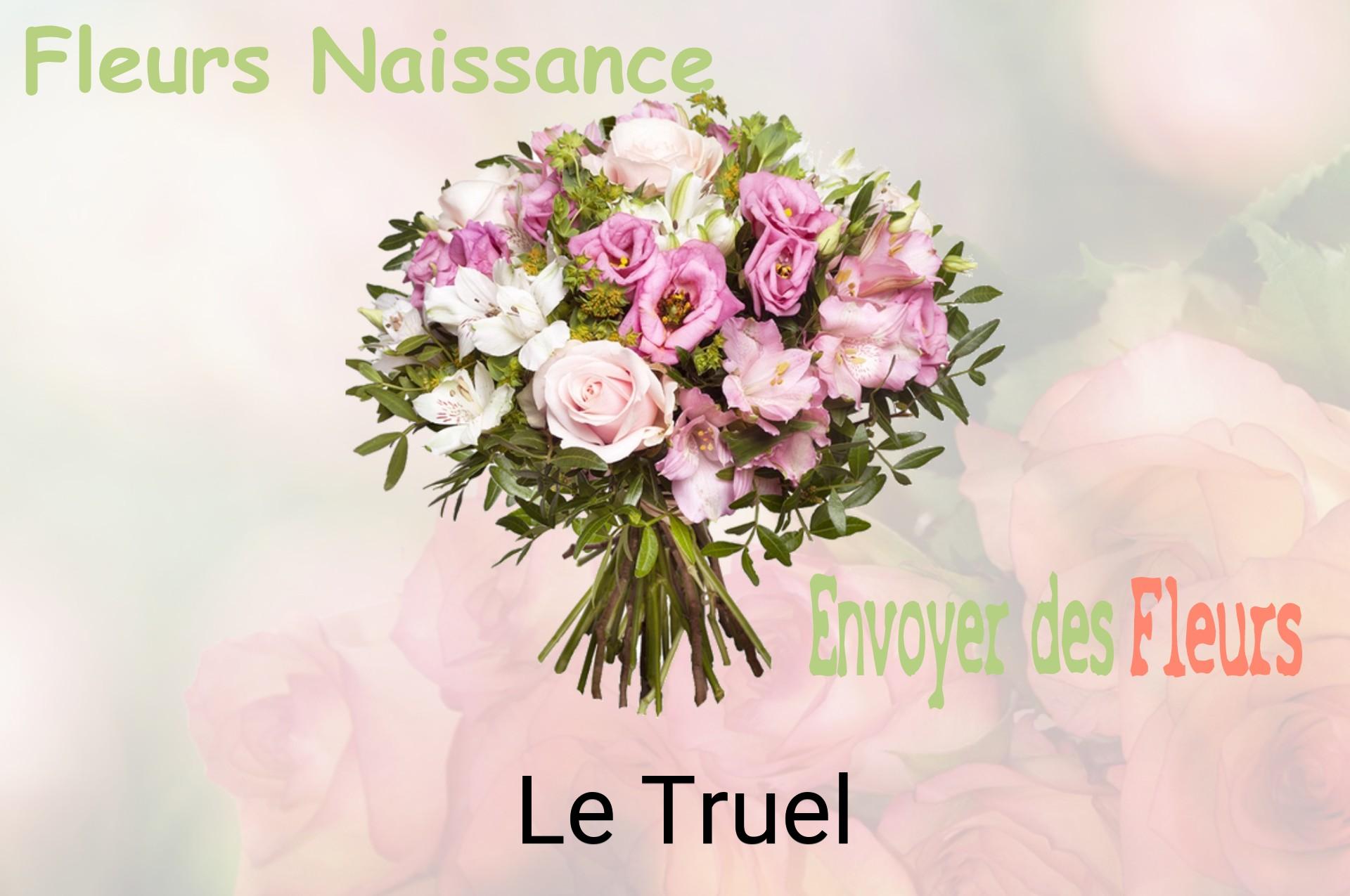 Bouquet de fleurs de naissance livré à Le Truel
